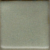 Coyote MBG181 Cool Artichoke glaze swatch