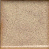 Coyote MBG189 Beechnut glaze swatch