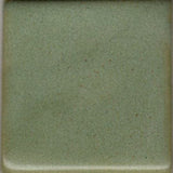 Coyote MBG183 Deep Avocado glaze swatch